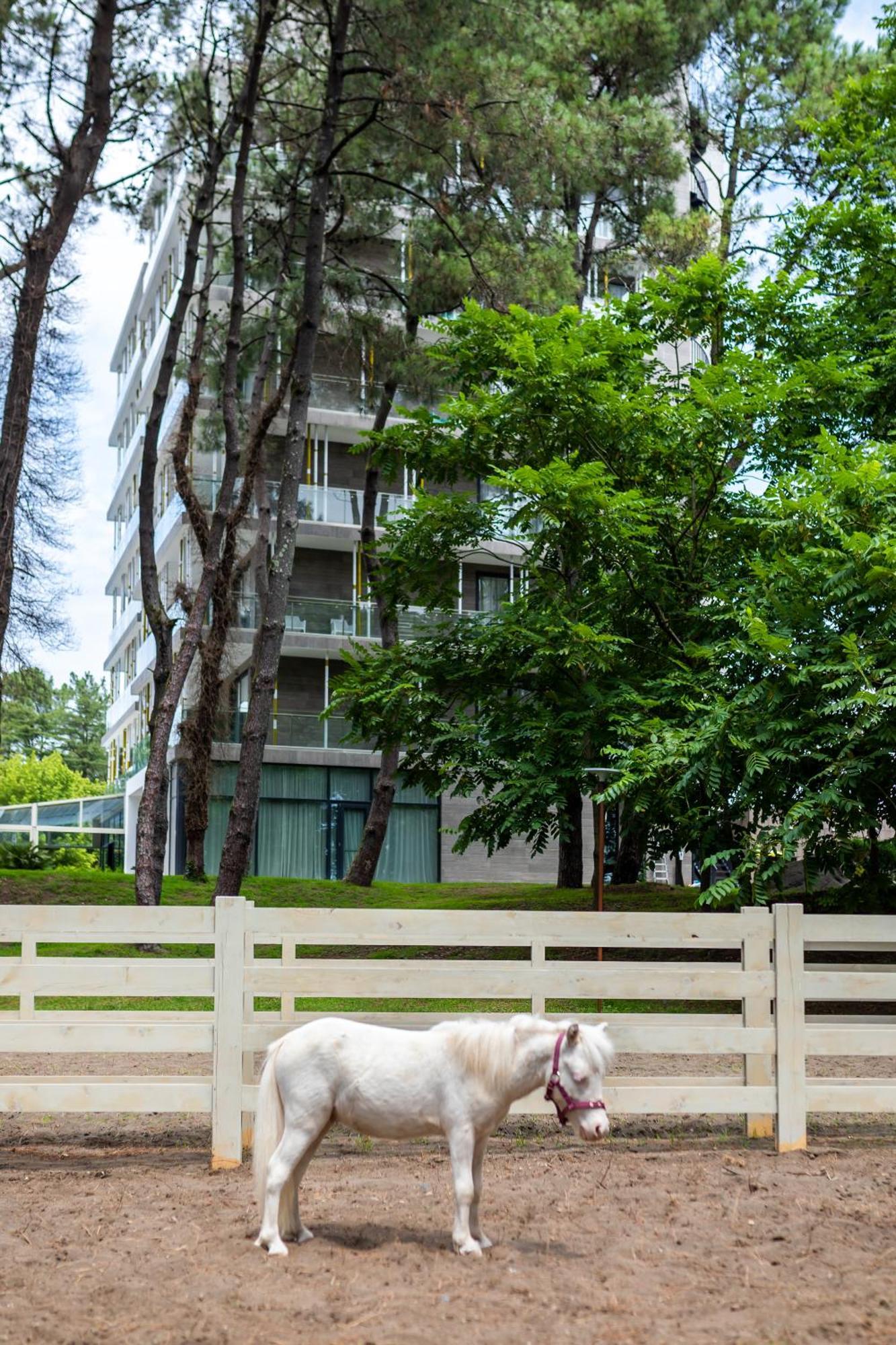 Magnika Resort Sekvetili Kültér fotó