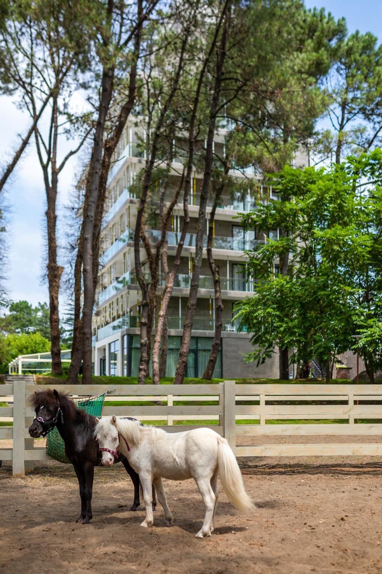 Magnika Resort Sekvetili Kültér fotó